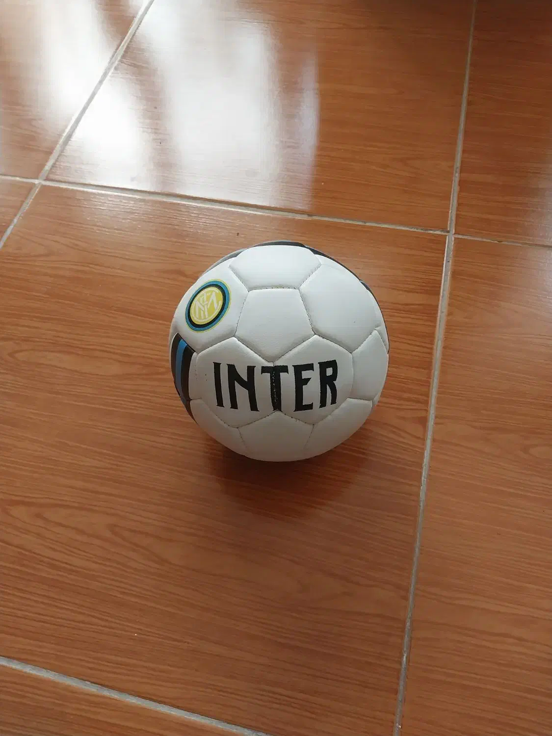 توپ داخل سالن مولتن و توپ سایز ۱|ورزشهای توپی|اردبیل, |دیوار