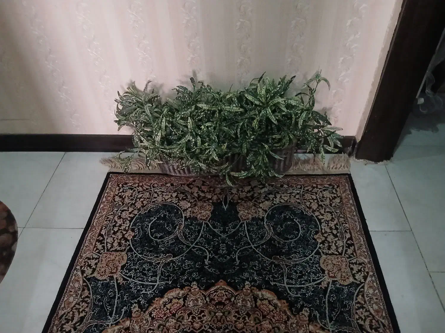 تعدادی گل و استند گل و درختچه|گل مصنوعی|اسلامشهر, شهرک قائمیه|دیوار