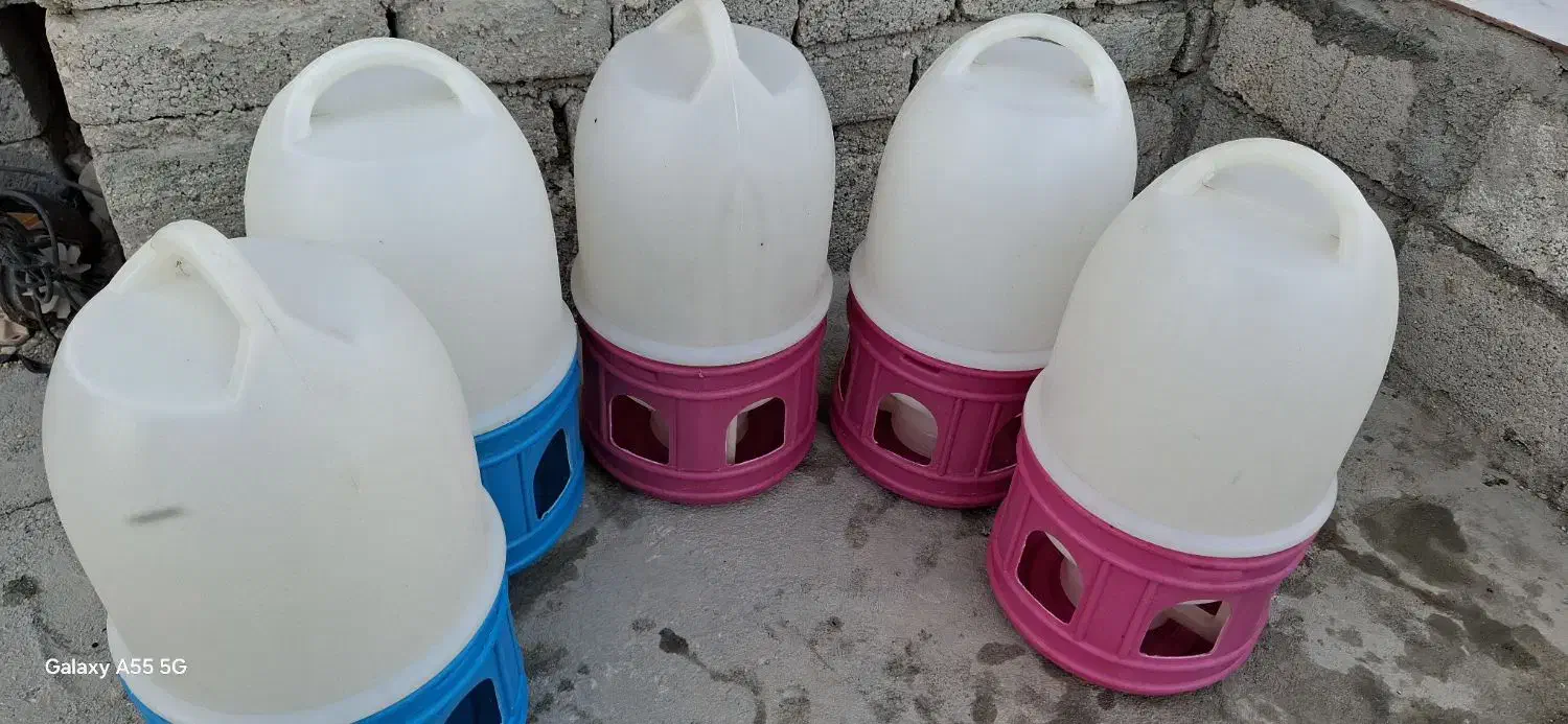 ابخوری بوقلمون|لوازم جانبی حیوانات|بندرعباس, |دیوار