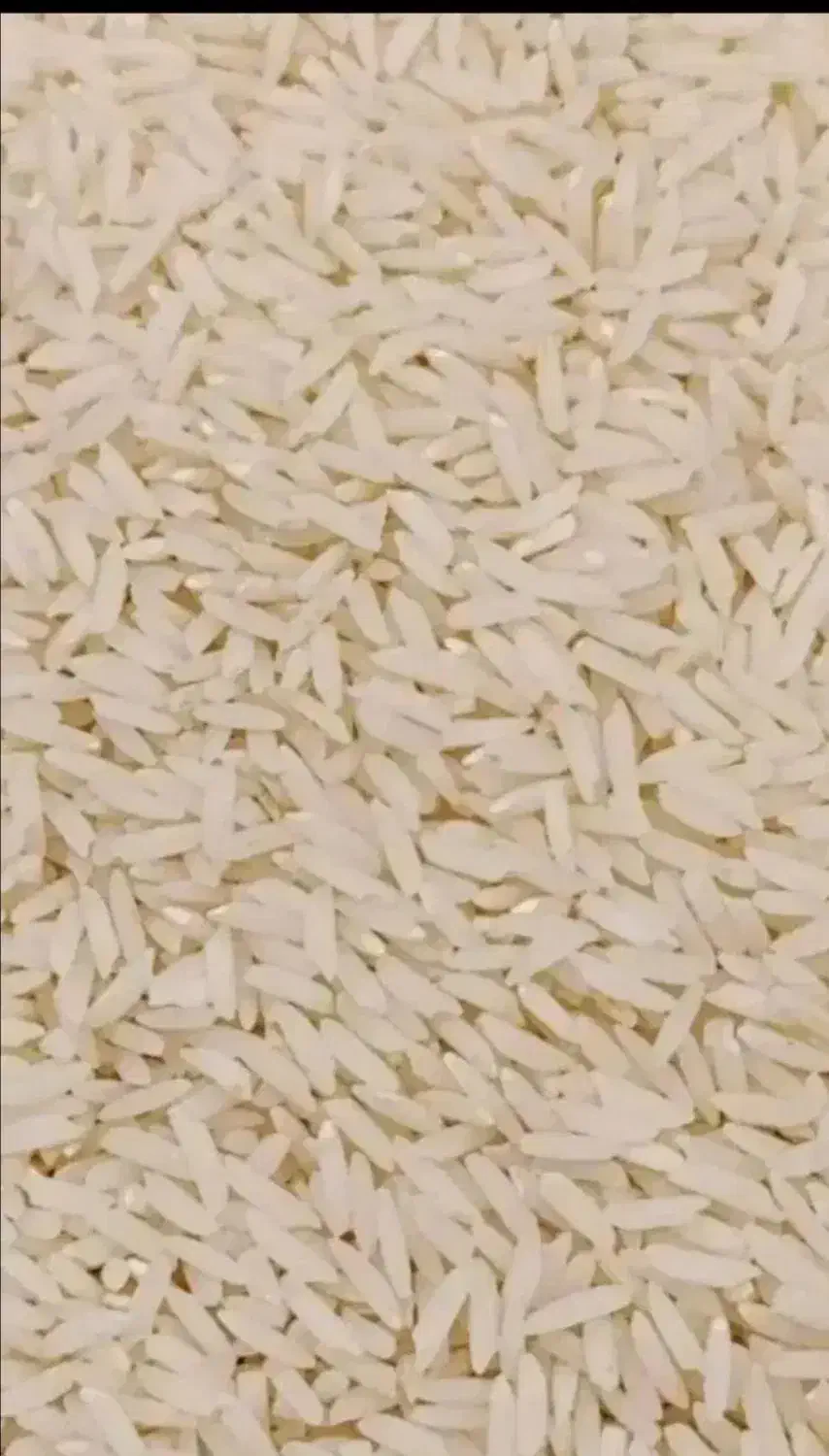 برنج هاشمی|خوردنی و آشامیدنی|گلپایگان, |دیوار