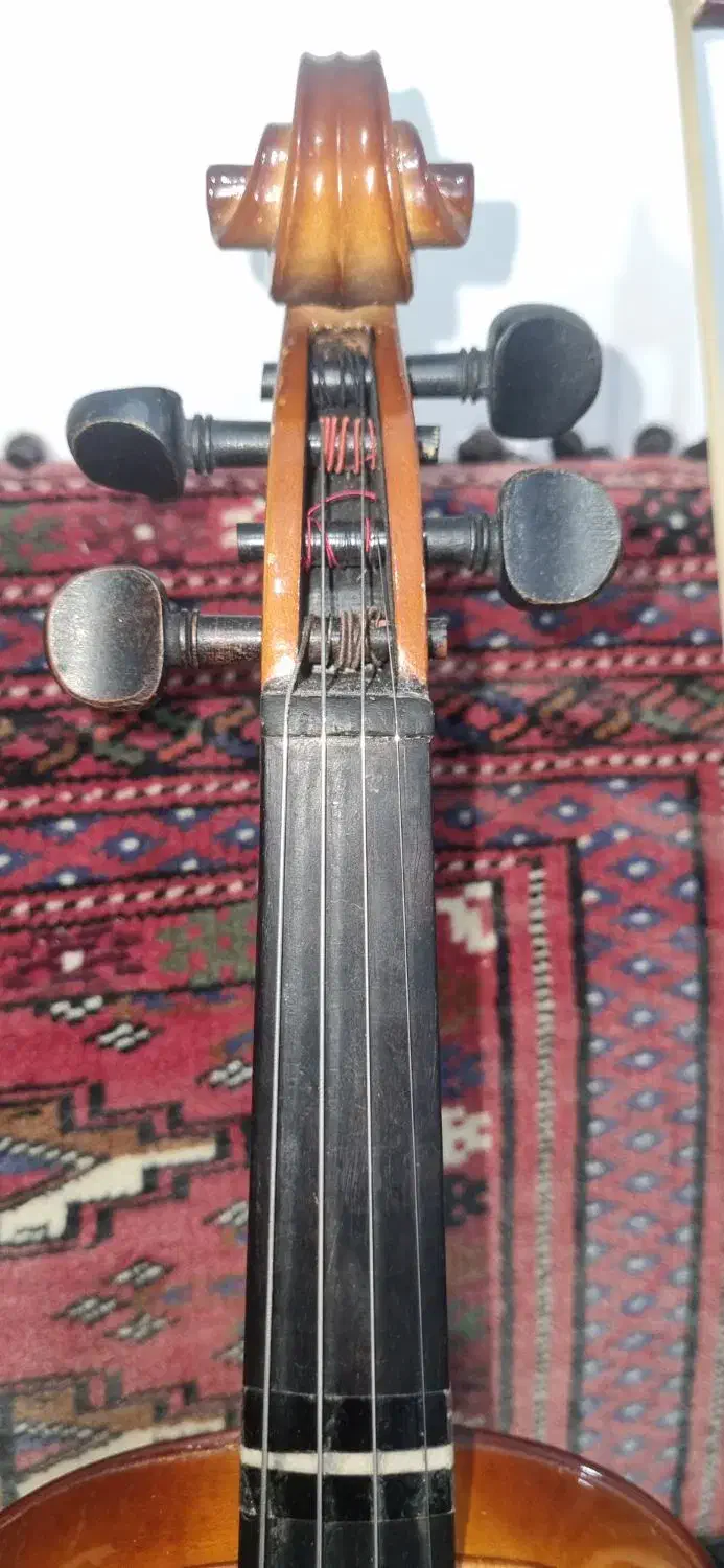 ویولن|ویولن|کلاله, |دیوار