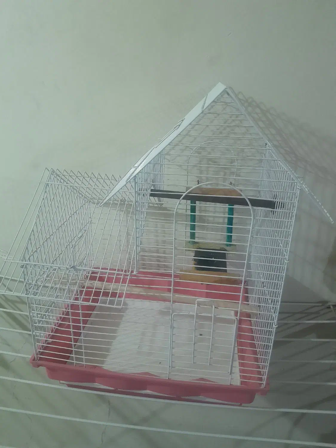 قفس عروس هلندی|لوازم جانبی حیوانات|تهران, مولوی|دیوار