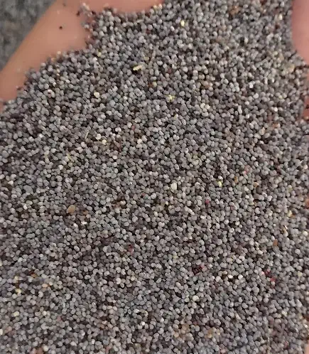 بذردرجه یک|خدمات باغبانی و درختکاری|کوهدشت, |دیوار