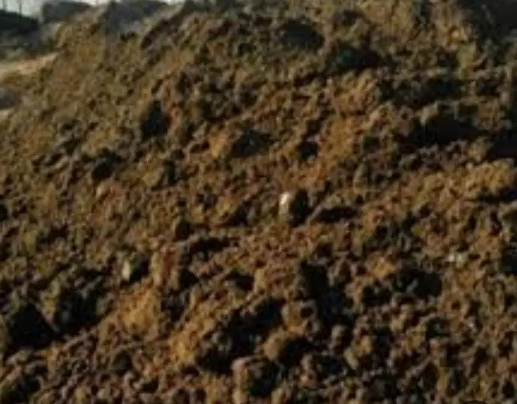 کودگاوی خشک بدون خاک اره|لوازم جانبی حیوانات|ماسال, |دیوار