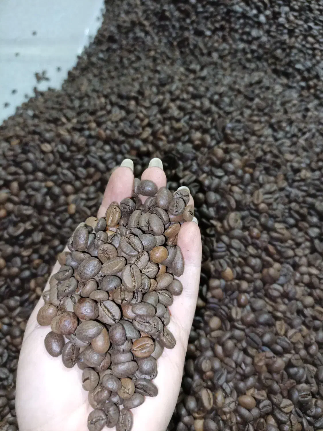 قهوه و پودریجات|خوردنی و آشامیدنی|پاکدشت, پاکدشت (مامازند)|دیوار