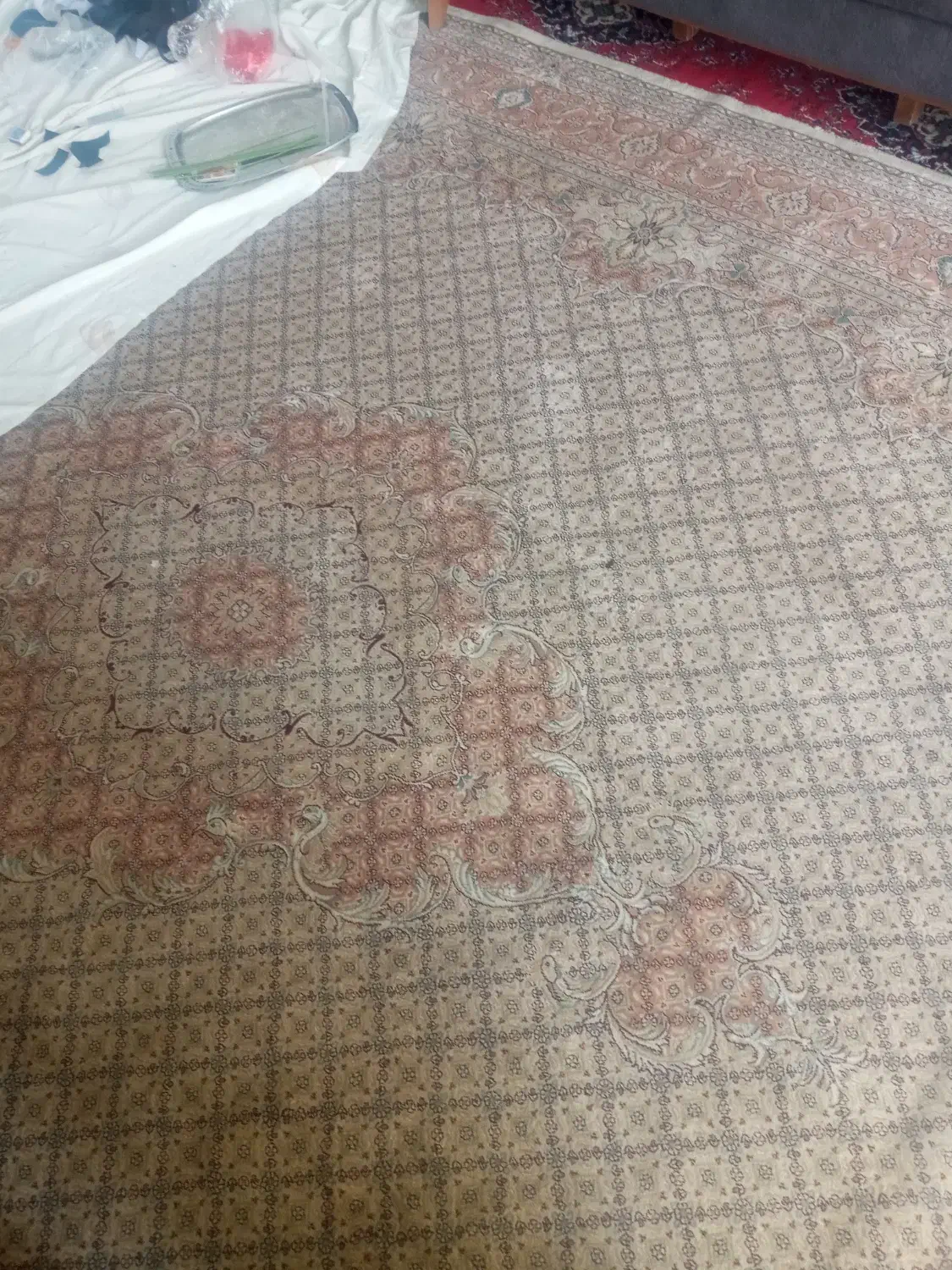 فرش ۱۲|فرش|خمینی‌شهر, |دیوار