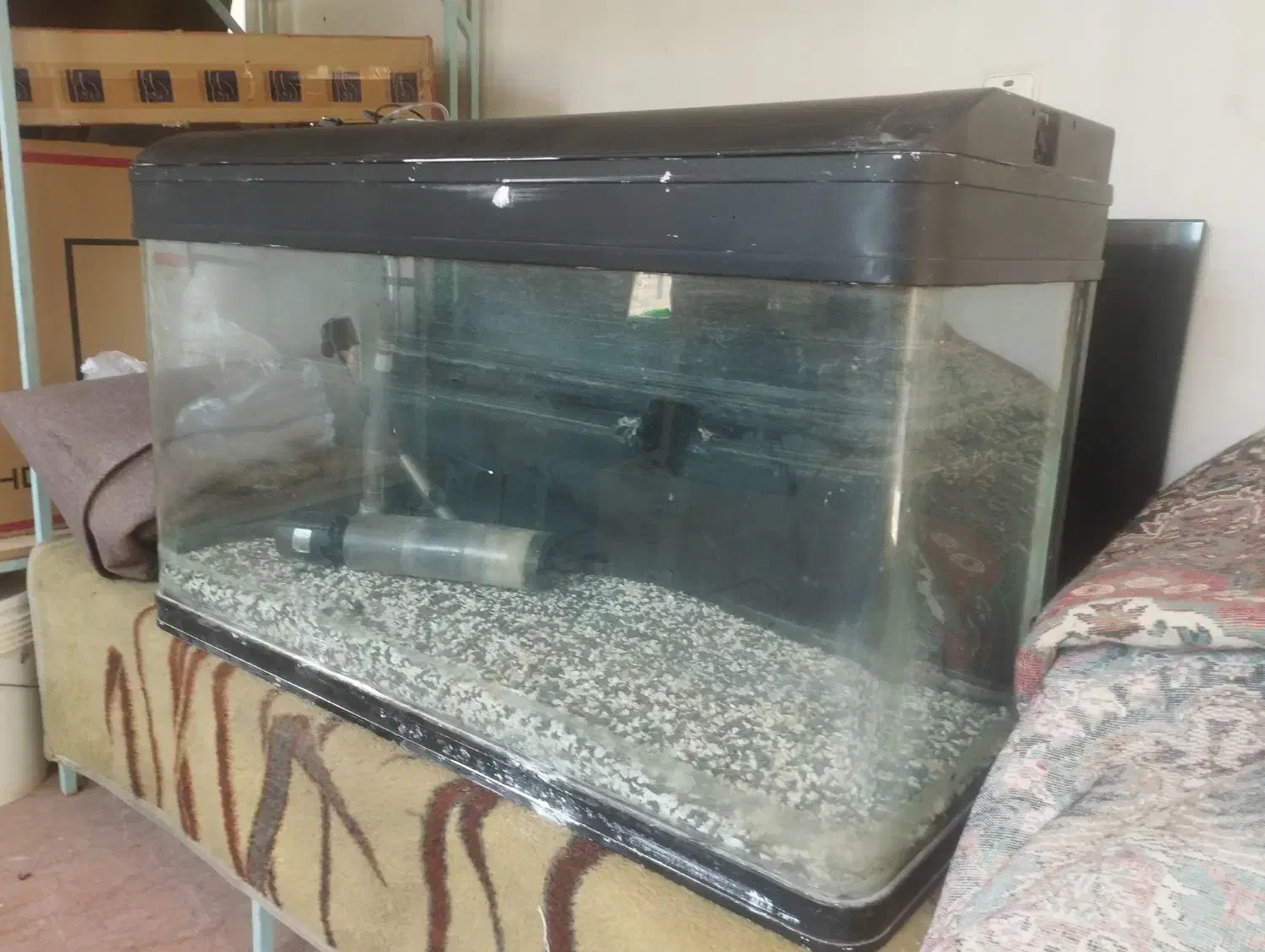 اکواریوم|ماهی|اشتهارد, |دیوار