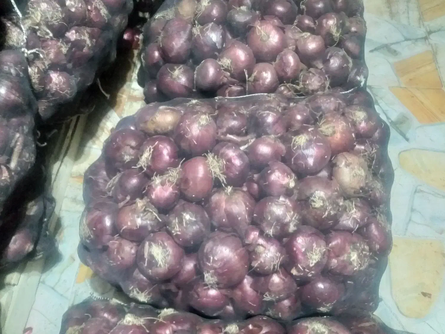 پیاز قرمز|عمدهفروشی|اشنویه, |دیوار