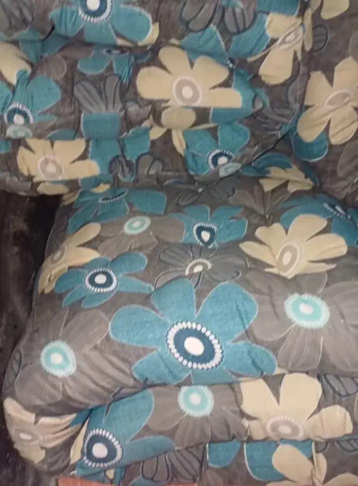 تشک گمشده در مسیر جهرم به مبارک آباد|اشیا|جهرم, |دیوار