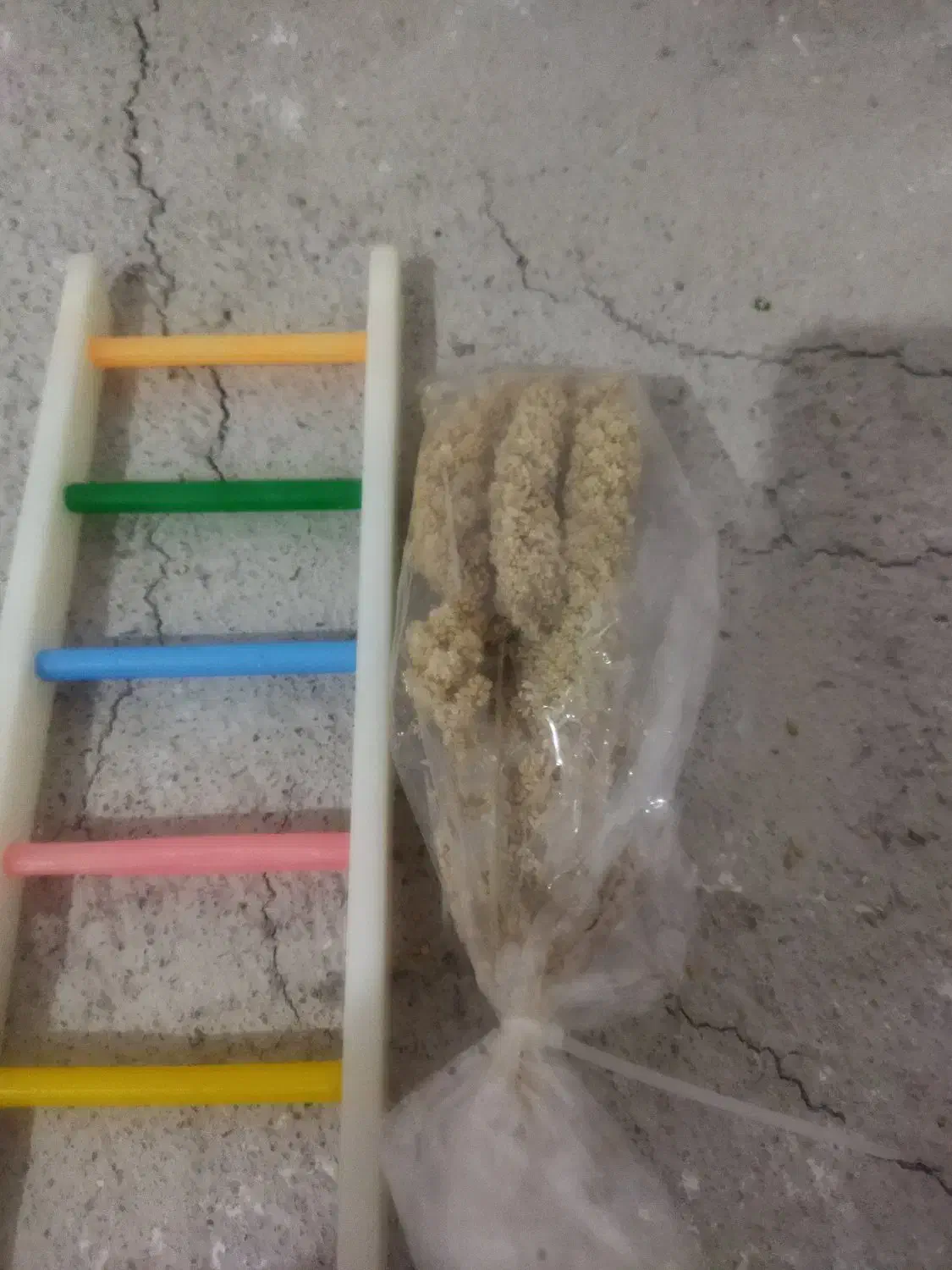 وسایل پرنده کاملا سالم|لوازم جانبی حیوانات|بوکان, |دیوار