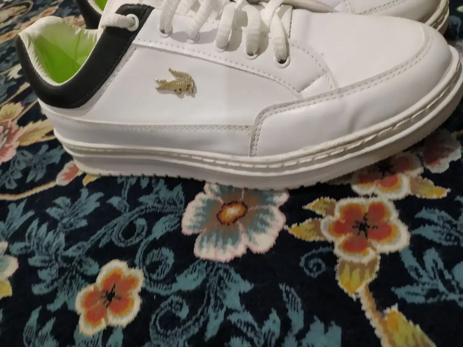 کفش لاگوست|کیف، کفش، کمربند|مشهد, آبکوه|دیوار