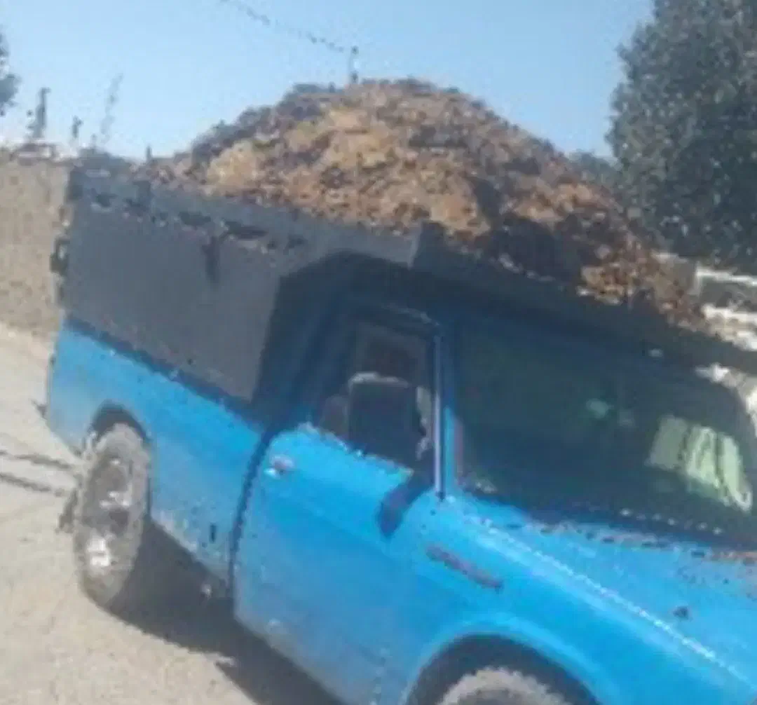 فروش کود گوسفندی در قمصر|خدمات باغبانی و درختکاری|قمصر, |دیوار