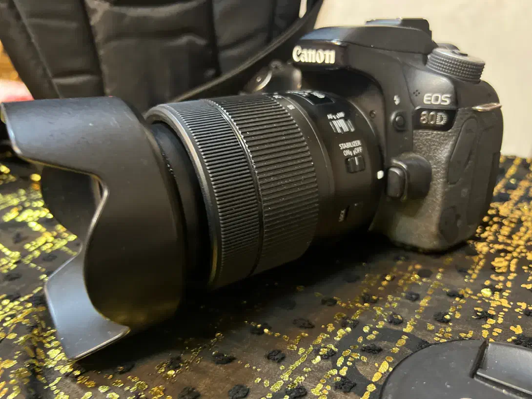 دوربین کنون Canon EOS 80D DSLR|دوربین عکاسی و فیلمبرداری|شیراز, قصرالدشت|دیوار