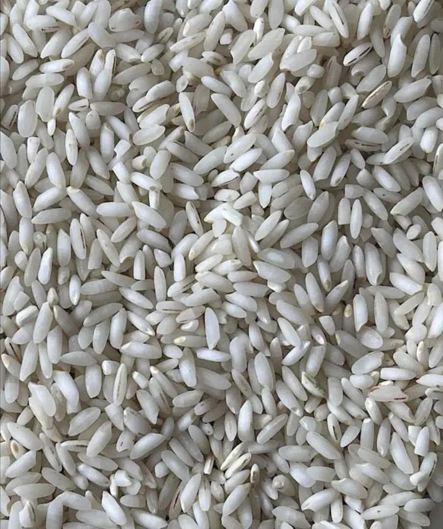 حراج برنج عنبربو|حراج|اشتهارد, |دیوار