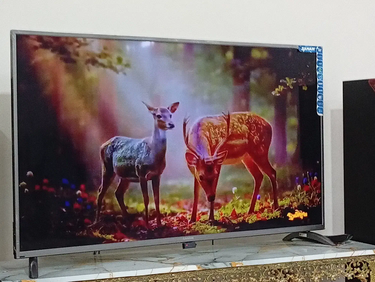 تلویزیون صنام 55اینچ|تلویزیون و پروژکتور|بهار, |دیوار