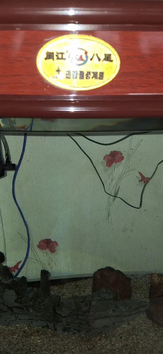 lکواریوم|ماهی|مشهد, حجاب (شهرک غرب)|دیوار