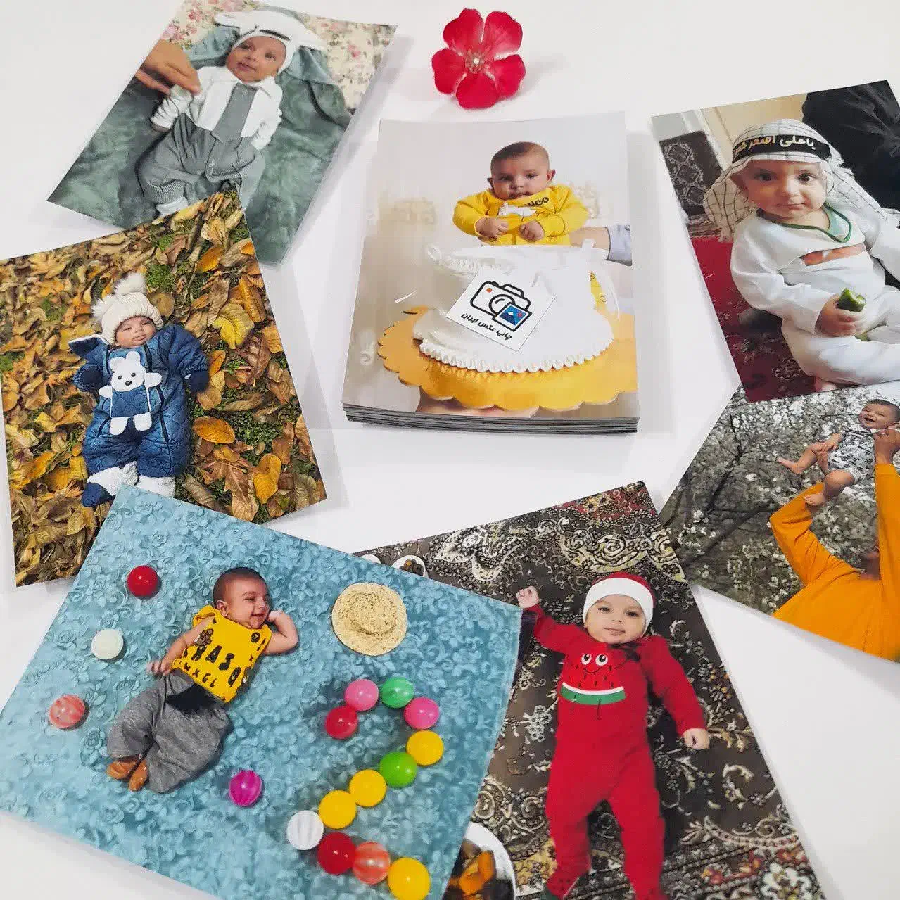 چاپ عکس و شاسی|خدمات رایانه‌ای و موبایل|قم, زنبیل آباد|دیوار