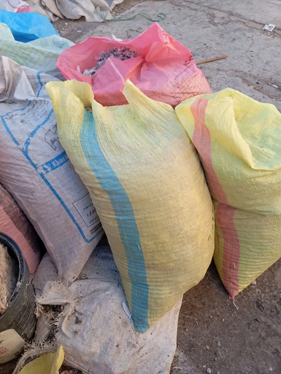 تعداد 8تا10تا‌ کود کبوتر|خدمات باغبانی و درختکاری|تربت‌حیدریه, فتح المبین|دیوار