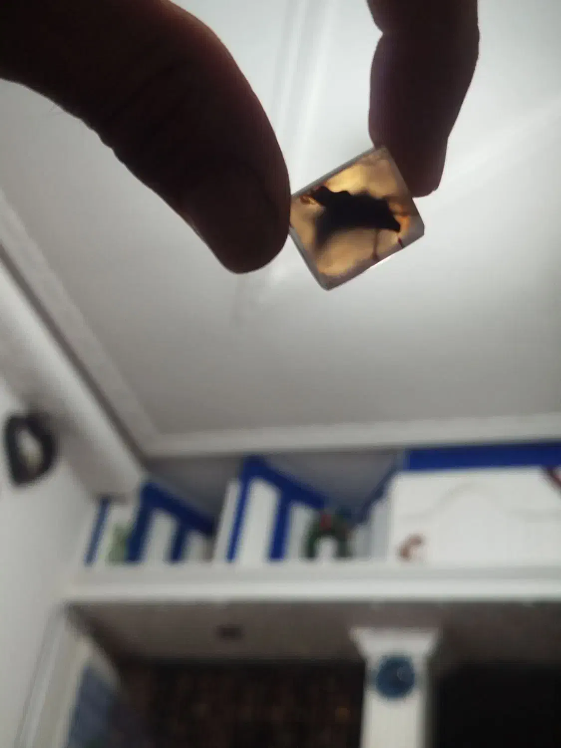 سنگ نگین انگشتر|جواهرات|مشهد, سرافرازان|دیوار