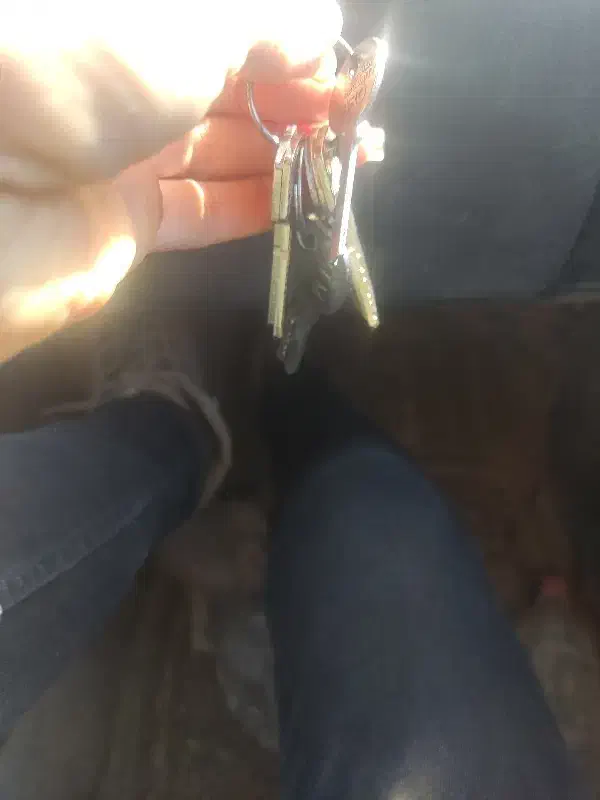 دسته کلید گمشده|اشیا|خوانسار, |دیوار