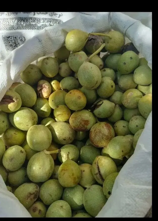 گردو|خوردنی و آشامیدنی|چناران, |دیوار
