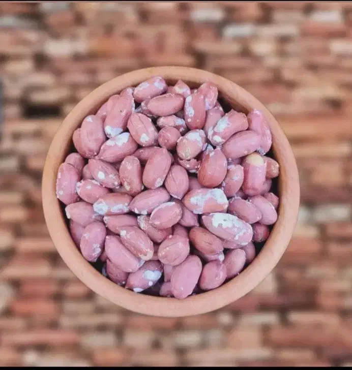 فروش محصولات خشکبار|خوردنی و آشامیدنی|کرج, شهرک فهمیده|دیوار