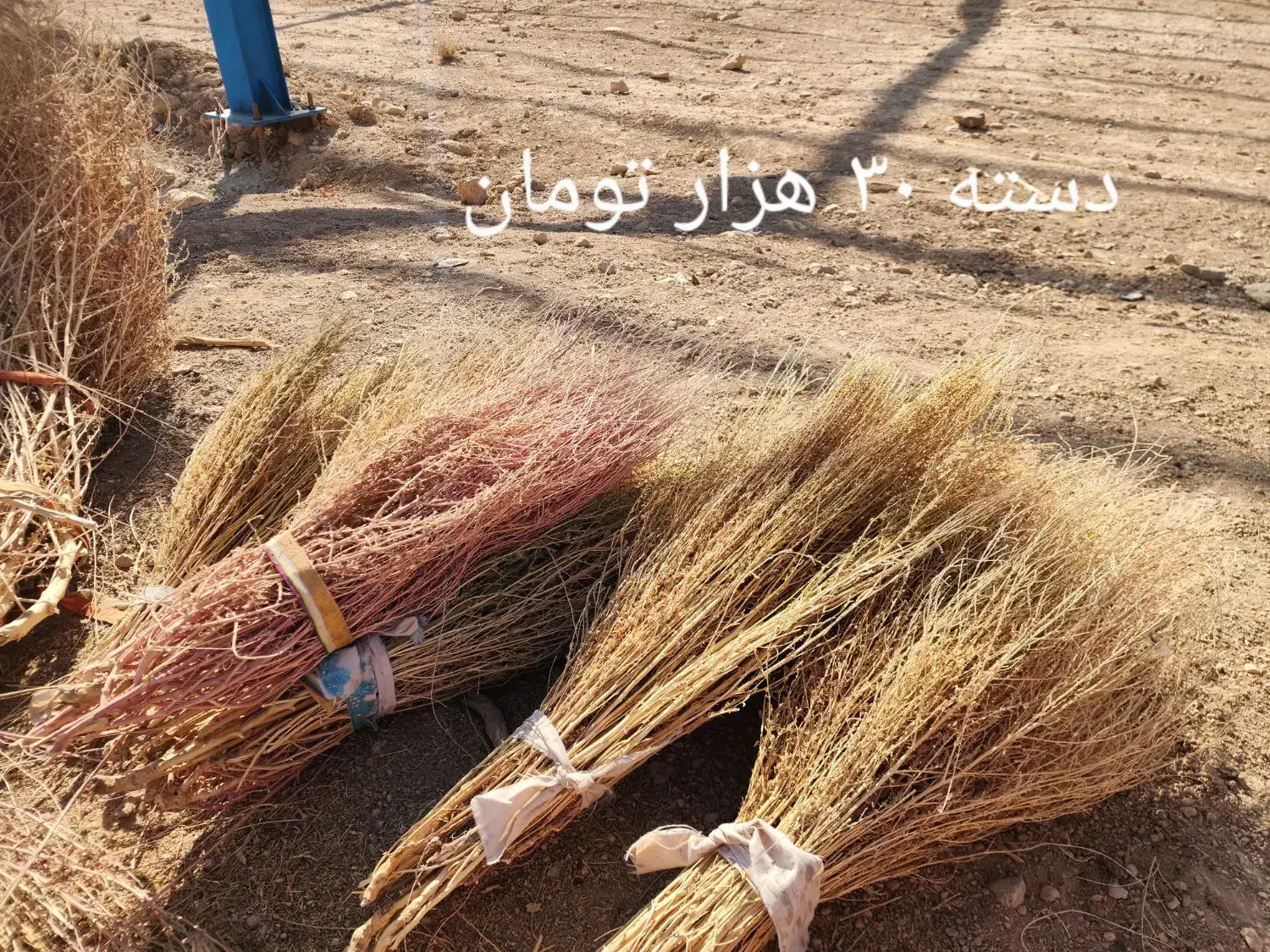 جارو باغی دستی|لوازم نظافت|لردگان, |دیوار