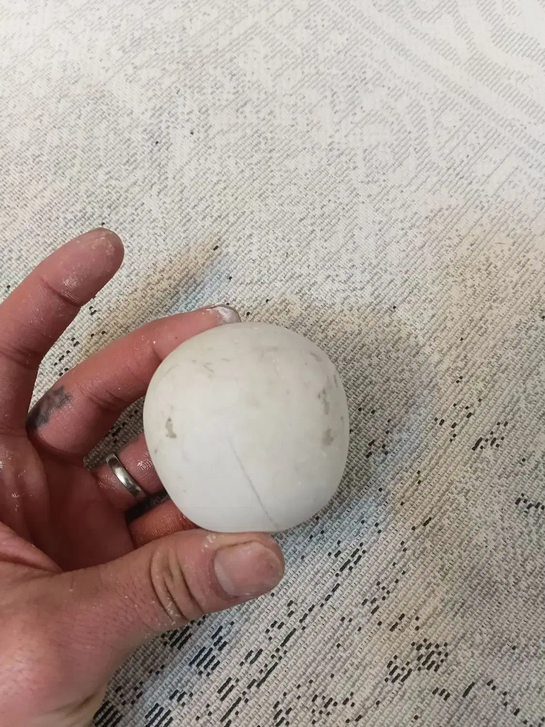 سنگ ..|کلکسیون اشیاء عتیقه|تهران, امین حضور|دیوار