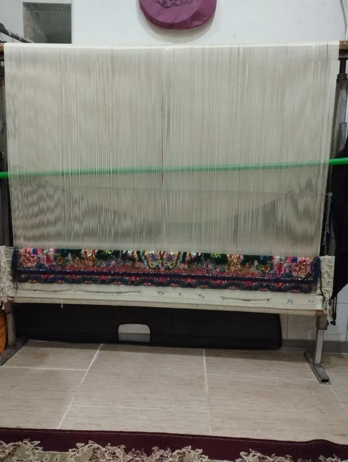 فرش ذرع و نیم|فرش|آستانه اشرفیه, |دیوار