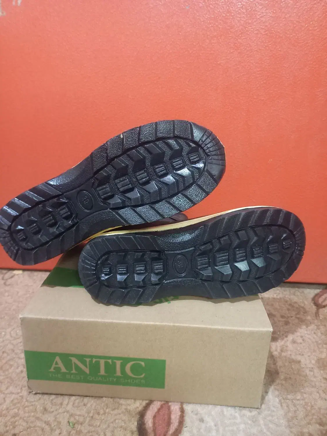 کفش|کیف، کفش، کمربند|برازجان, |دیوار