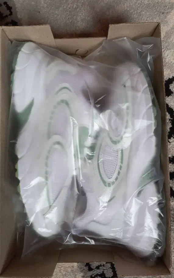 کتونی|کیف، کفش، کمربند|قوچان, |دیوار