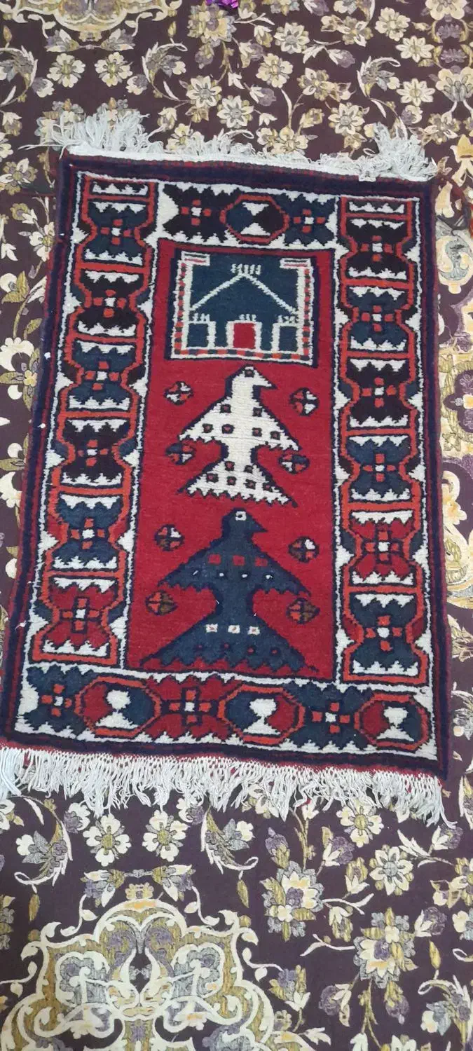 قالیچه دست بافت نو|فرش|شوشتر, |دیوار