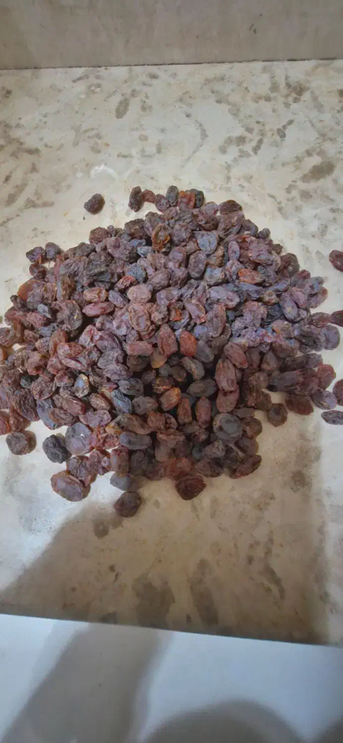 کشمش|خوردنی و آشامیدنی|تاکستان, |دیوار