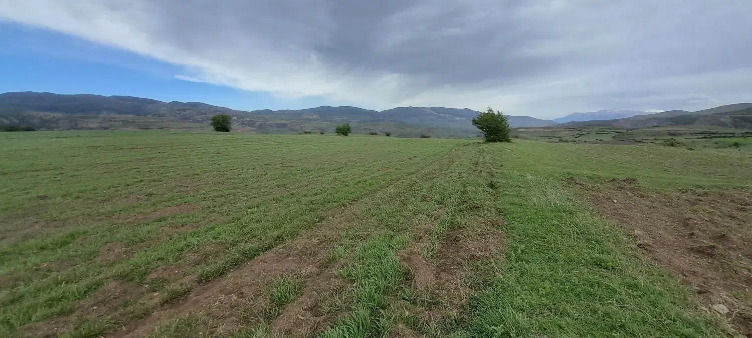 یک قطعه زمین زاراعی|فروش دفتر صنعتی، کشاورزی، تجاری|دیلمان, |دیوار