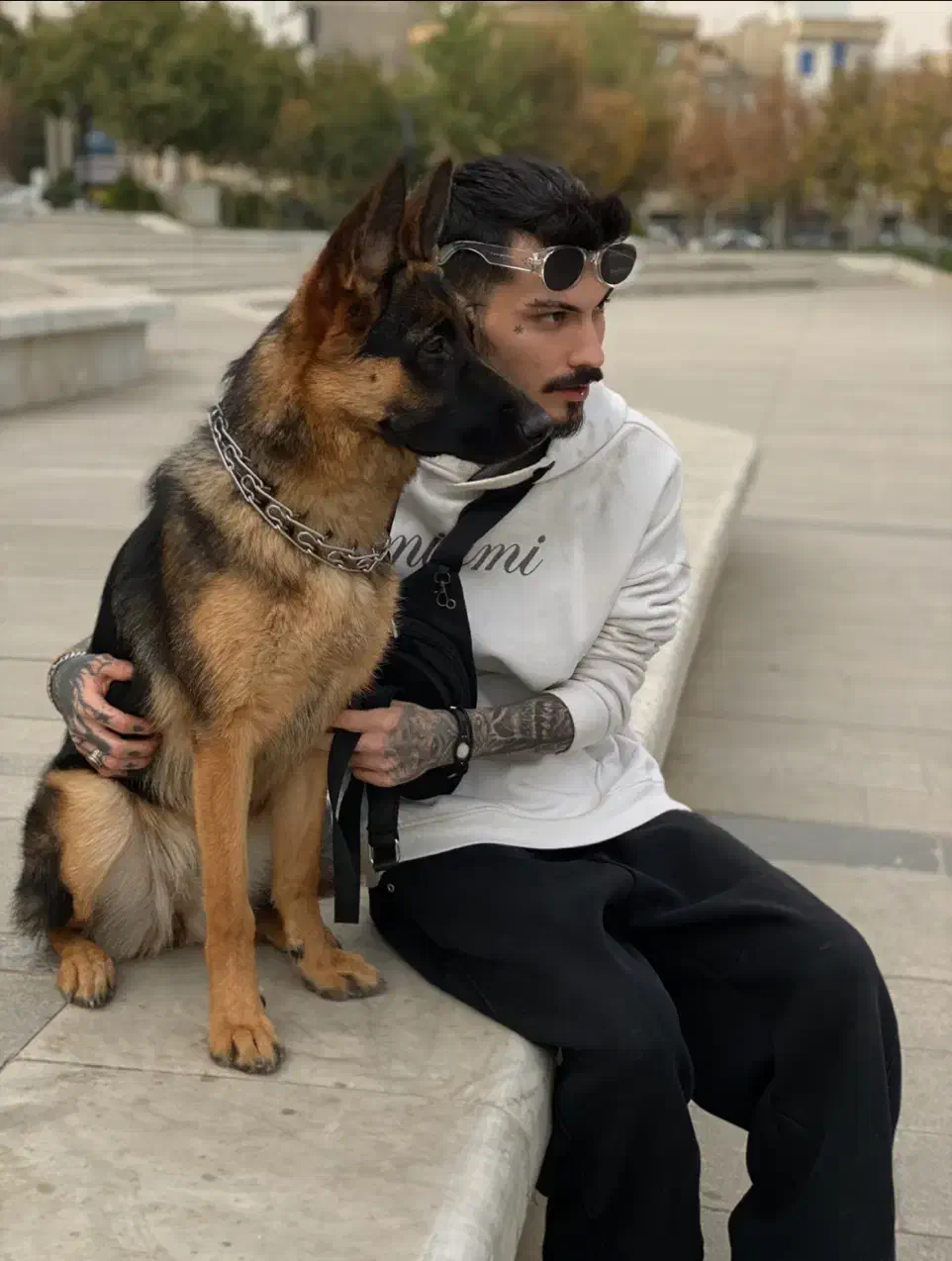 سگ ژرمن وورک اصیل واگذاری|سگ|مشهد, چهارچشمه|دیوار