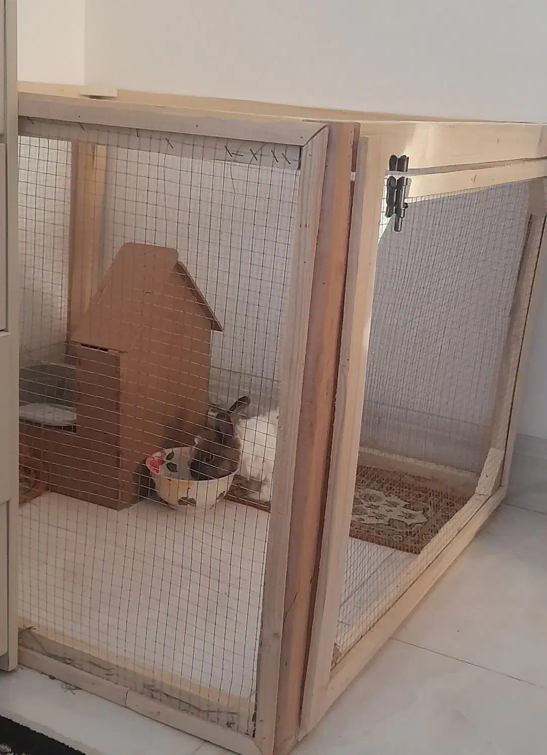 قفس چوبی روس|لوازم جانبی حیوانات|قم, نیروگاه|دیوار