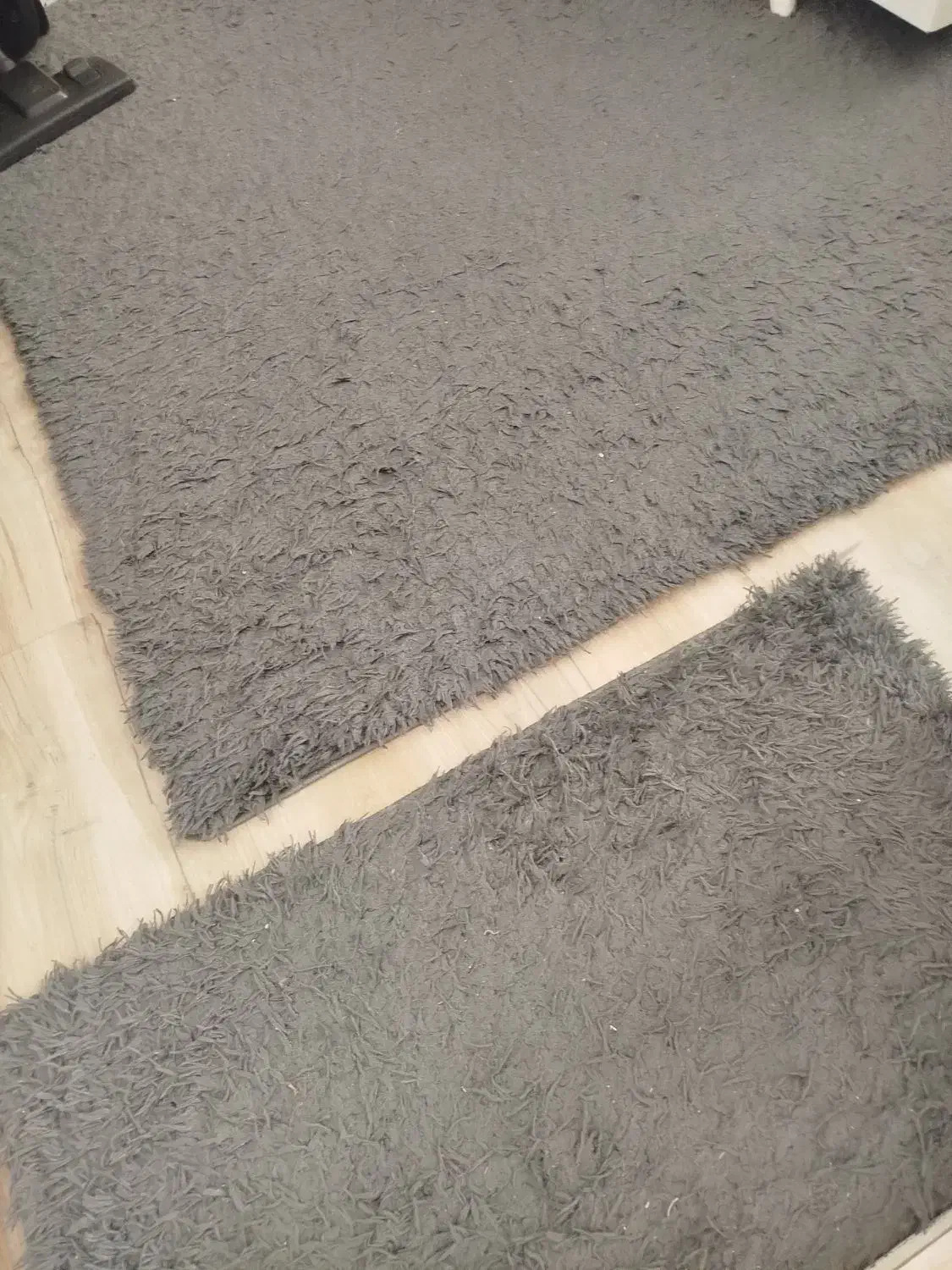 موکت پرز بلند|موکت|مبارکه, |دیوار