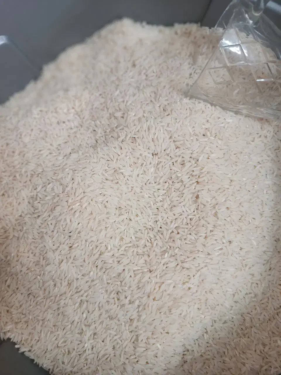 برنج طارم هاشمی اعلا|خوردنی و آشامیدنی|تهران, ترمینال غرب|دیوار