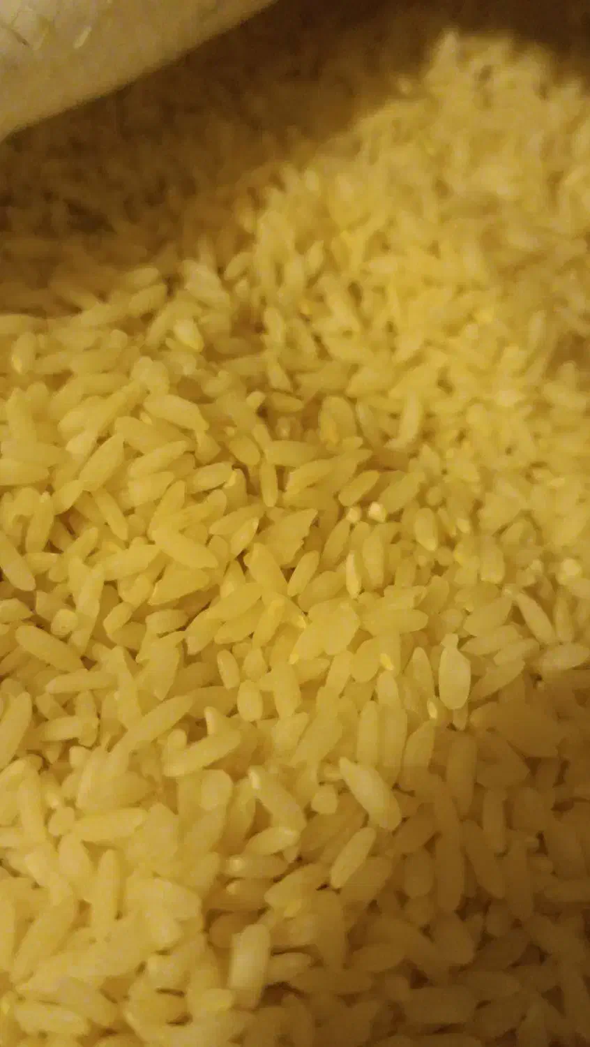 برنج چمپاسرقعله|خوردنی و آشامیدنی|منج, |دیوار