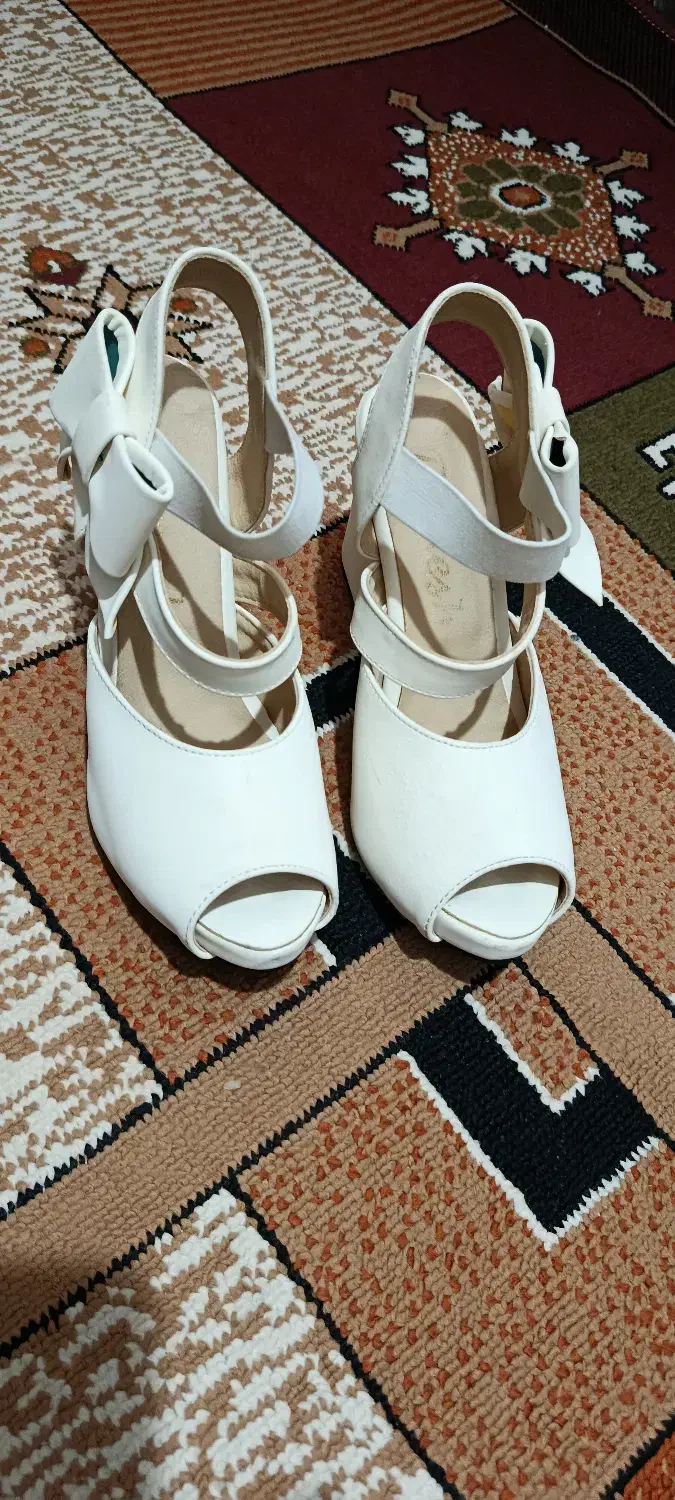 کفش مجلسی|کیف، کفش، کمربند|شیراز, میانرود|دیوار
