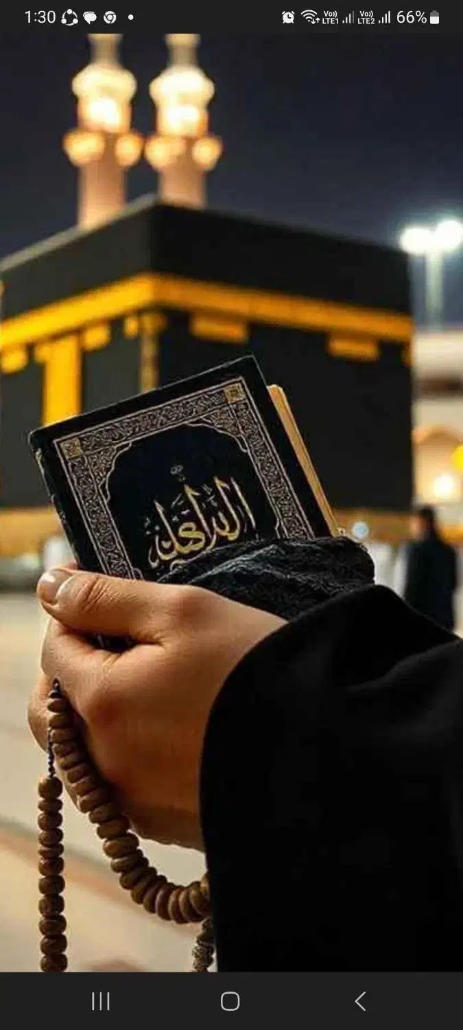 فیش حج|تور و چارتر|مبارکه, |دیوار