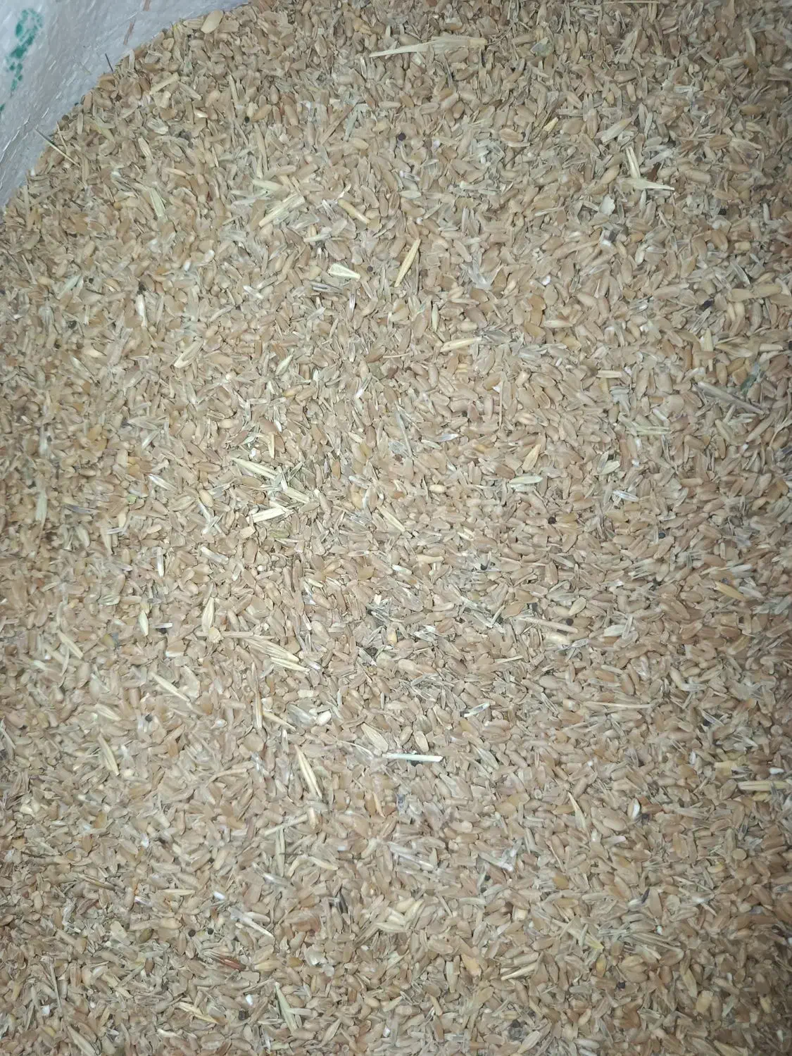 گندم شکسته 2تن. (24500تومن)|عمده‌فروشی|رامشیر, |دیوار