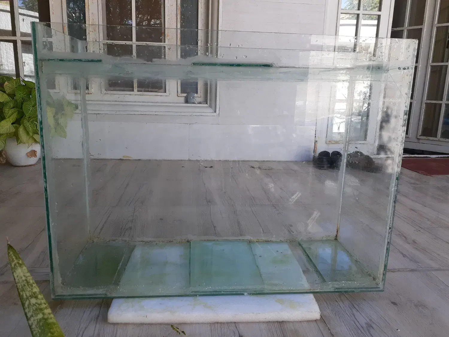 آکواریم|ماهی|برازجان, |دیوار