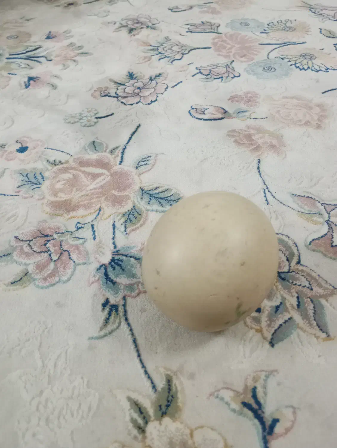 سنگ الماس|جواهرات|مشهد, زیبا شهر|دیوار