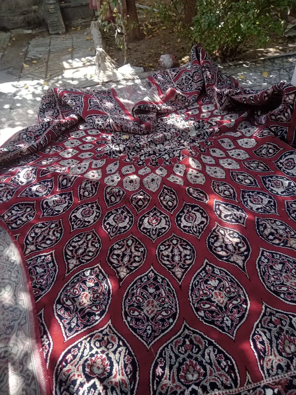 فرش ۱۲متری|فرش|تاکستان, |دیوار