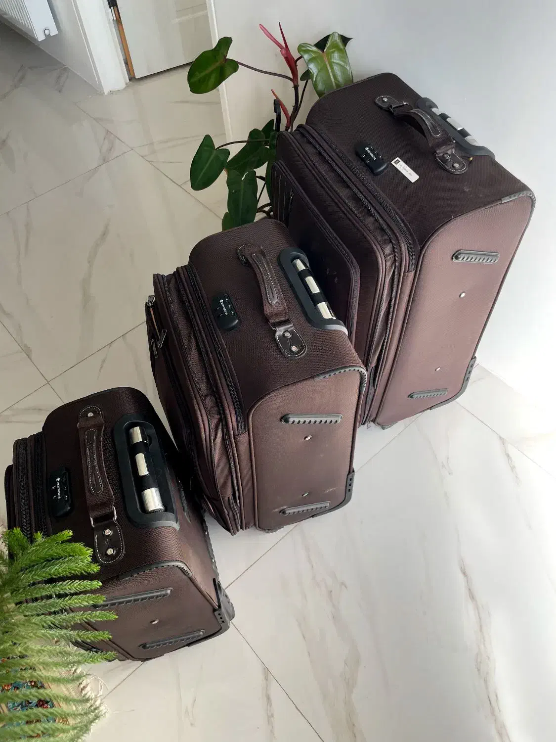 چمدان 3 تایی|کیف، کفش، کمربند|صدرا-فارس, فاز ۱|دیوار