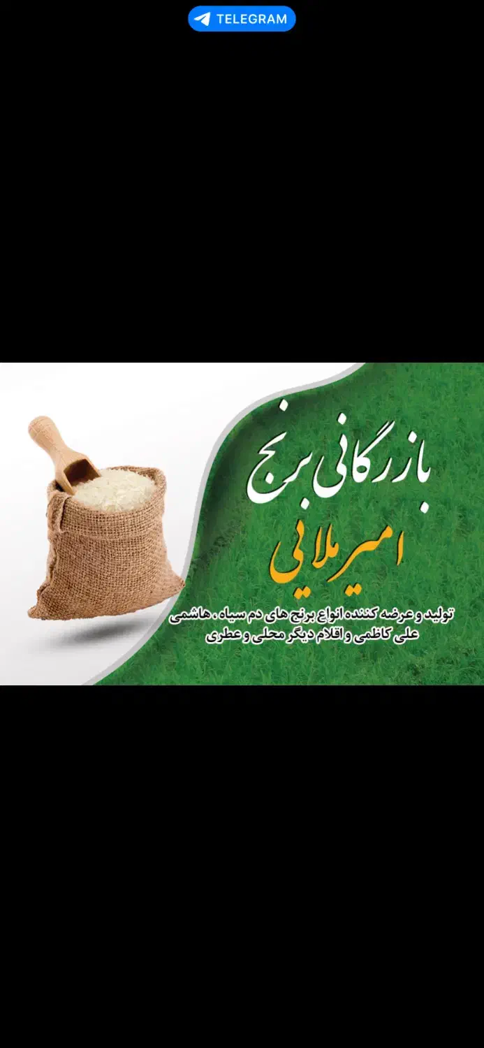 تولید کننده انواع برنج های دم سیاه هاشمی|خوردنی و آشامیدنی|سنگر, |دیوار