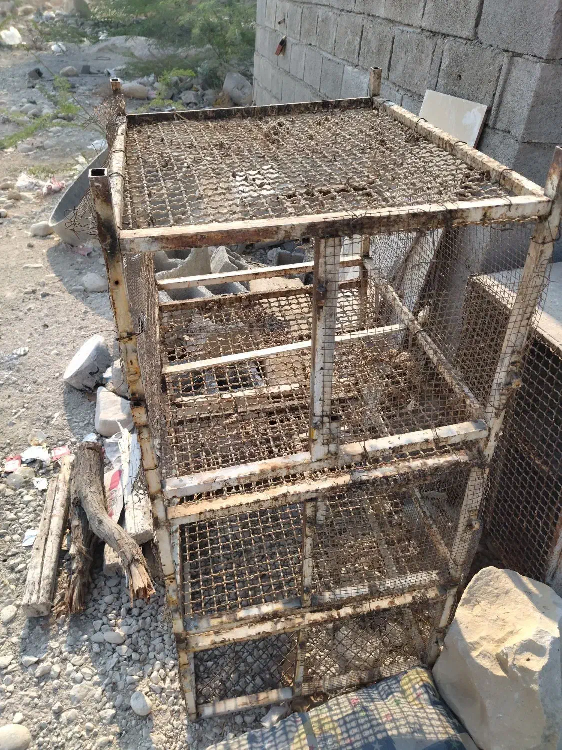 قفس جفت گاه کبوتر معاوضه با کبوتر رنگی مرغ|لوازم جانبی حیوانات|بندر کنگان, |دیوار