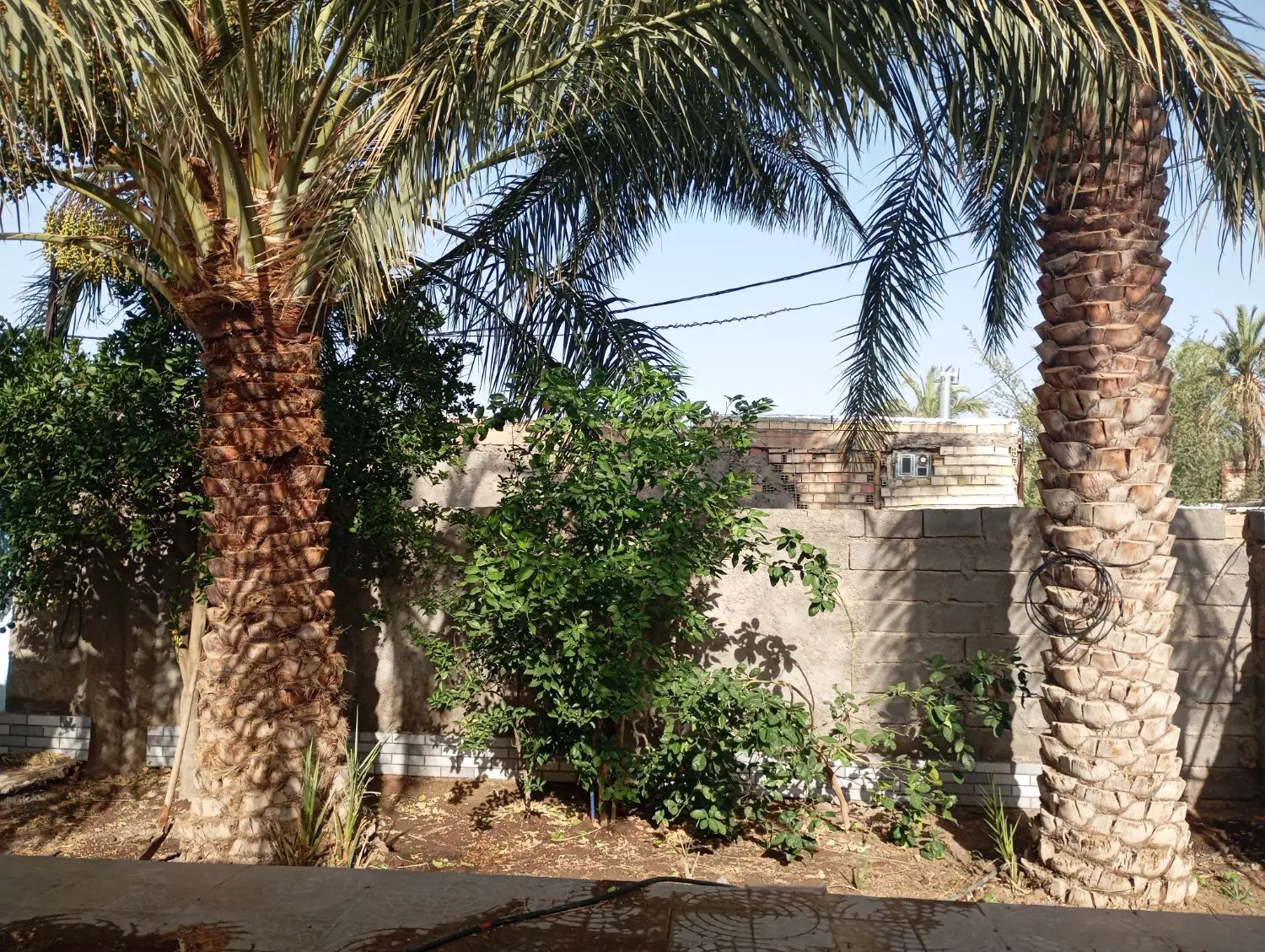 منزل مسکونی فروشی یامعاوضه بااپارتمان درکرمان|فروش خانه و ویلا|بم, |دیوار