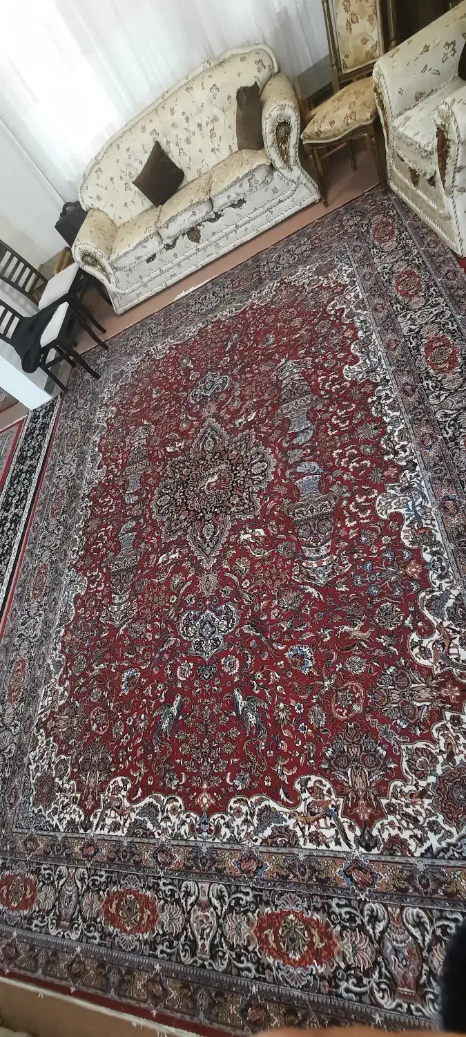 فروش قالی ۱۲ متری|فرش|آمل, |دیوار